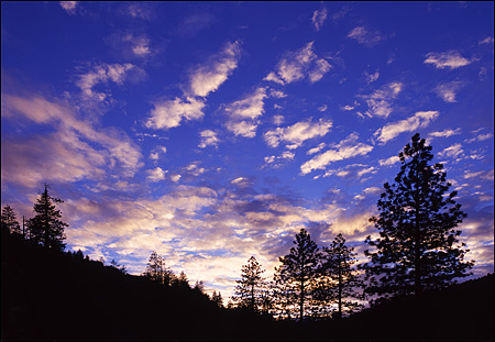 Late Afternoon Sky in Yosemite National Park, CA